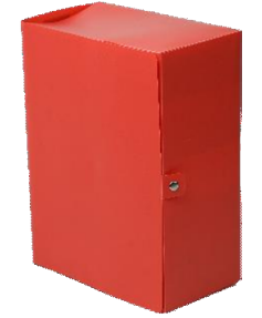 Lot de 40 boîtes d'archives ACCORD en polypropylène 60 microns – Dos 12 cm – Coloris au choix