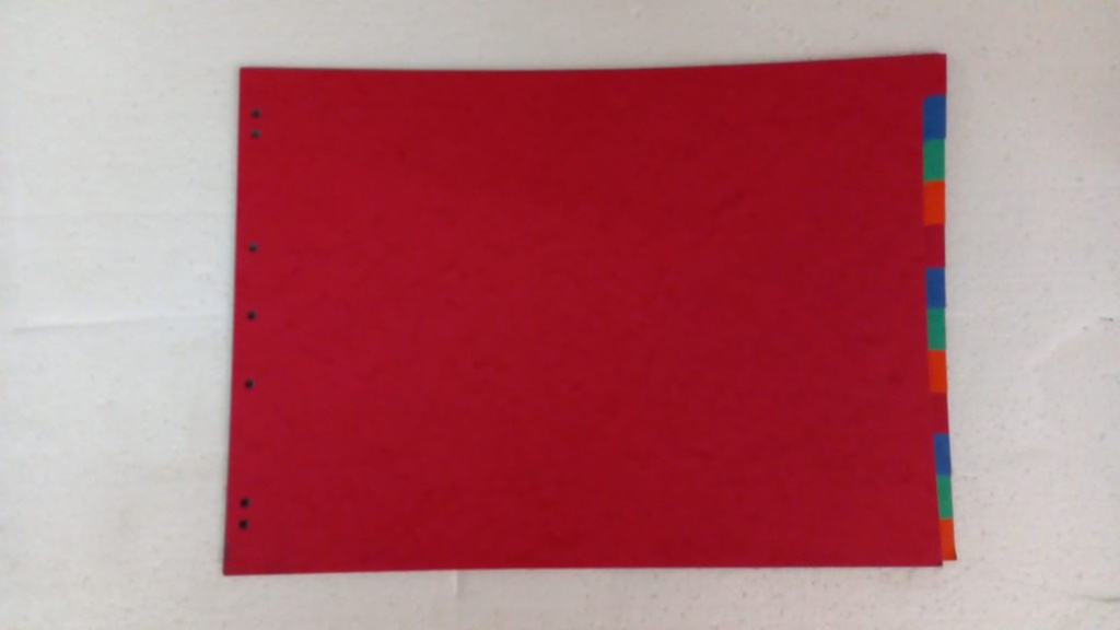 Lot de 10 jeux de 24 intercalaires A4 SICLA - Touches neutres colorées - Format maxi plus 24,2 x 29,7 cm